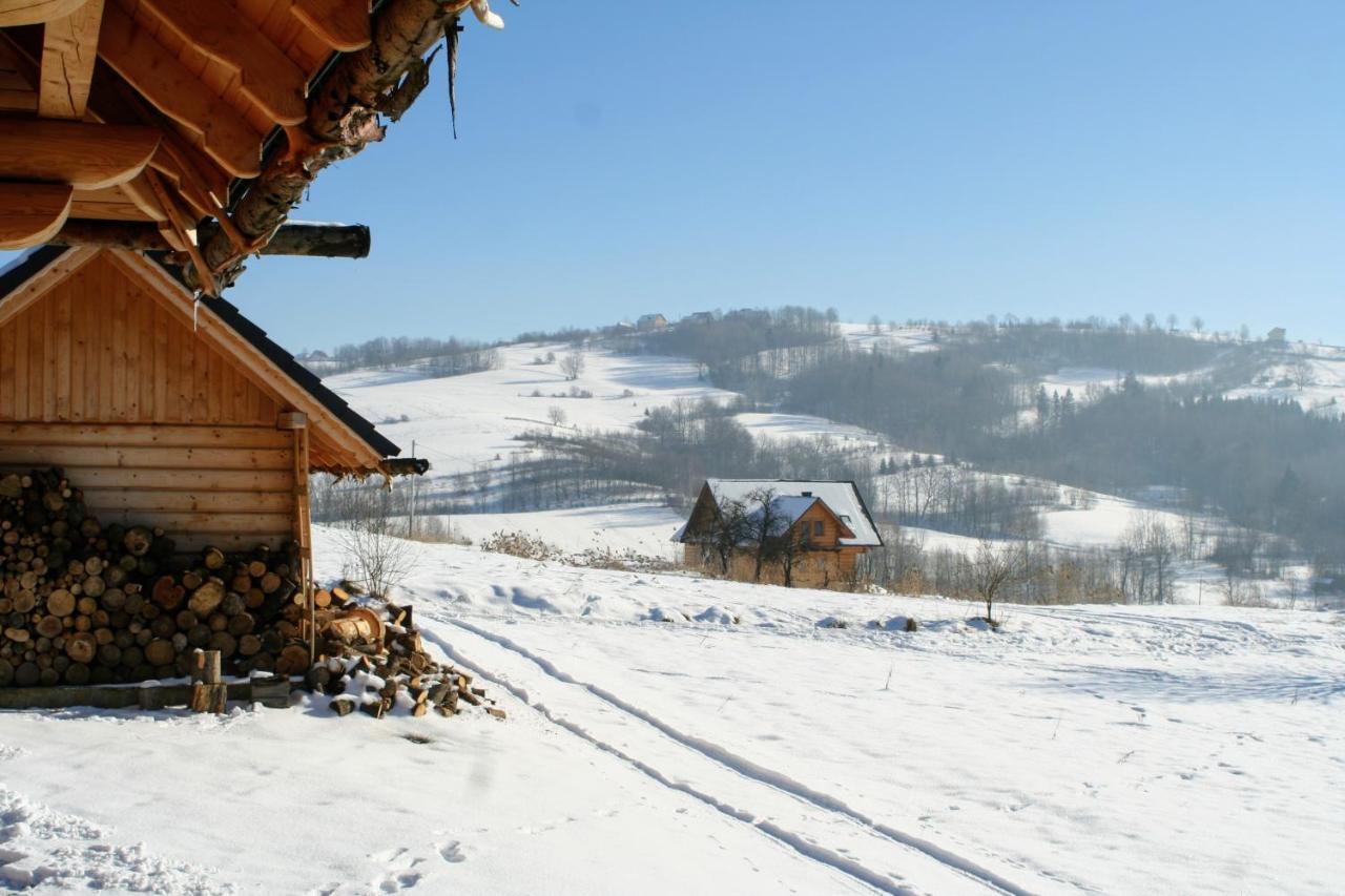 Moja Chata Do Wynajecia Istebna Extérieur photo